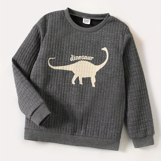 Dinosaur Print Boys Casual Pullover Sweatshirt Long Sleeve Crew Neck Tops