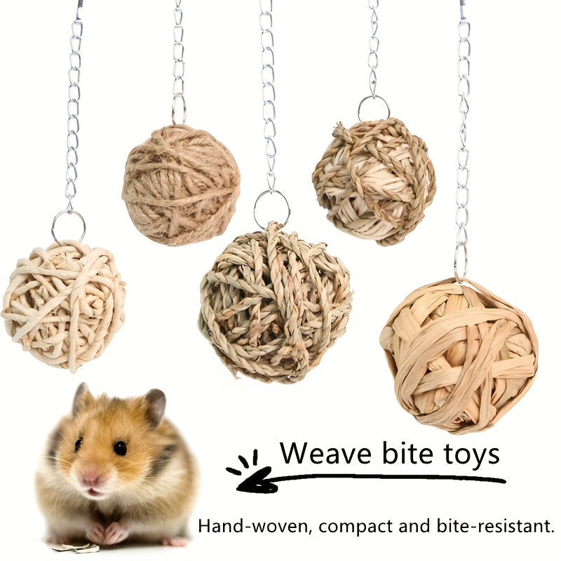 Interactive Pet Hanging Grass Ball for Hamsters