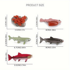Marine Animals Growth Cycle Models Set