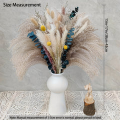 Boho Bouquet Pampas Grass Rabbit Tail Grass Reed Dried Flowers