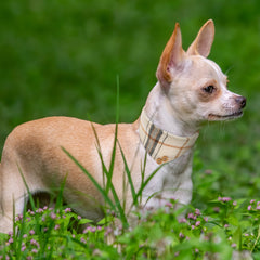 img_4675751