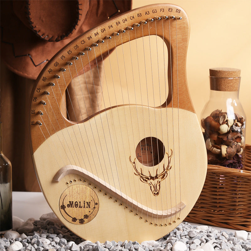 Beginner 24 String Lyre Harp Portable & Easy to Learn