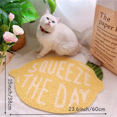 Durable PVC Cat Litter Mat Breathable Pet Cushion