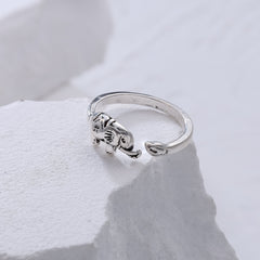 img_5726028