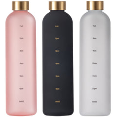 32oz Transparent Water Bottle with Time Marker & Leakproof