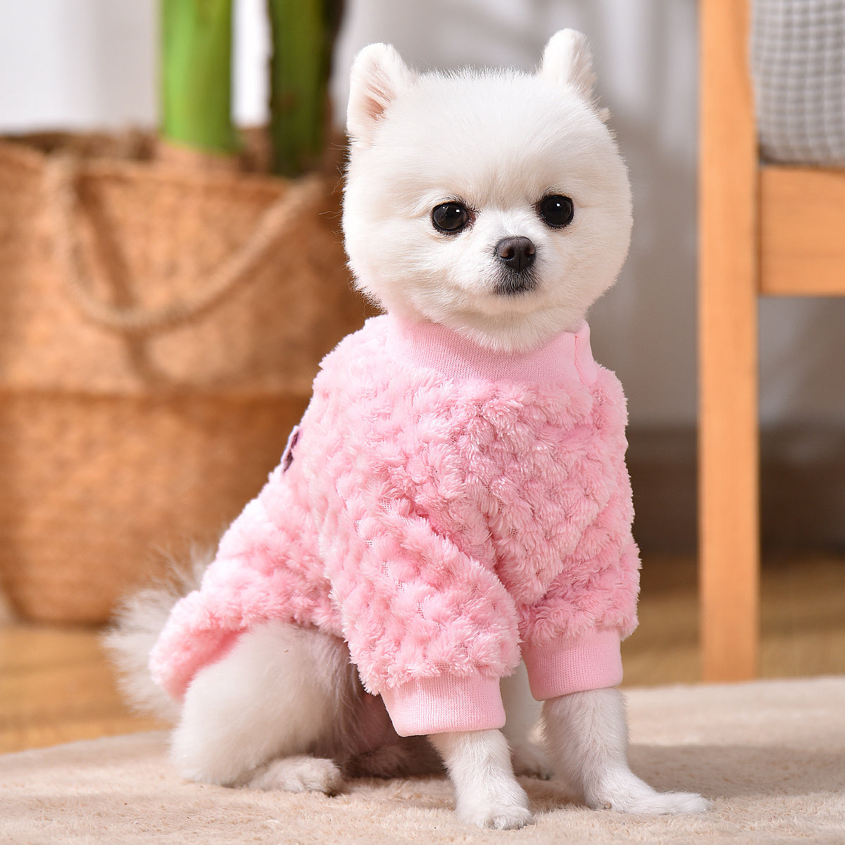 Stay Warm & Stylish: Pet Hoodie for Winter