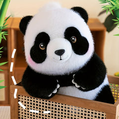 Adorable Stuffed Animals: Giant Panda Plushies - 27Cm 10 62In