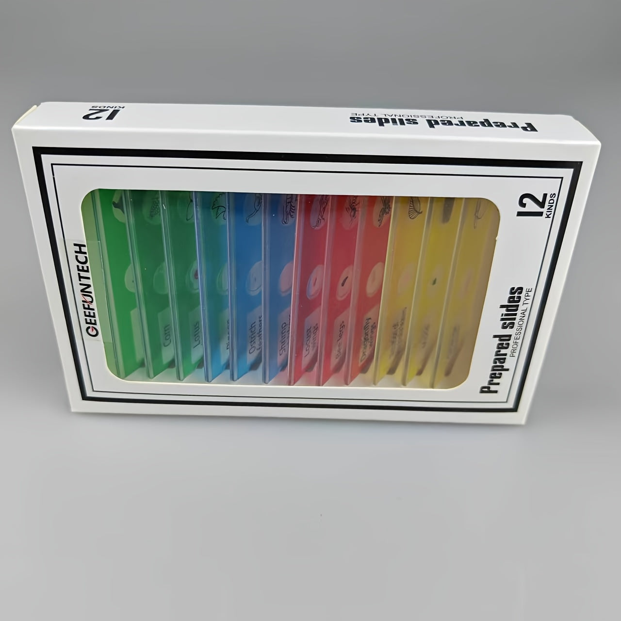 12pcs Plastic Prepared Microscope Slides Biological Specimen