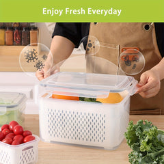 5pcs Fruit Container With Filter Mesh Cover Refrigerator Storage Box Set