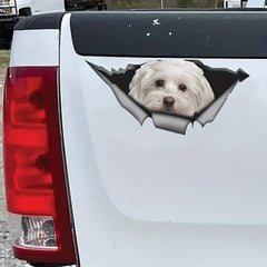 Maltese Car Sticker Pet Dog Metal Decal Reflective Waterproof Car Styling
