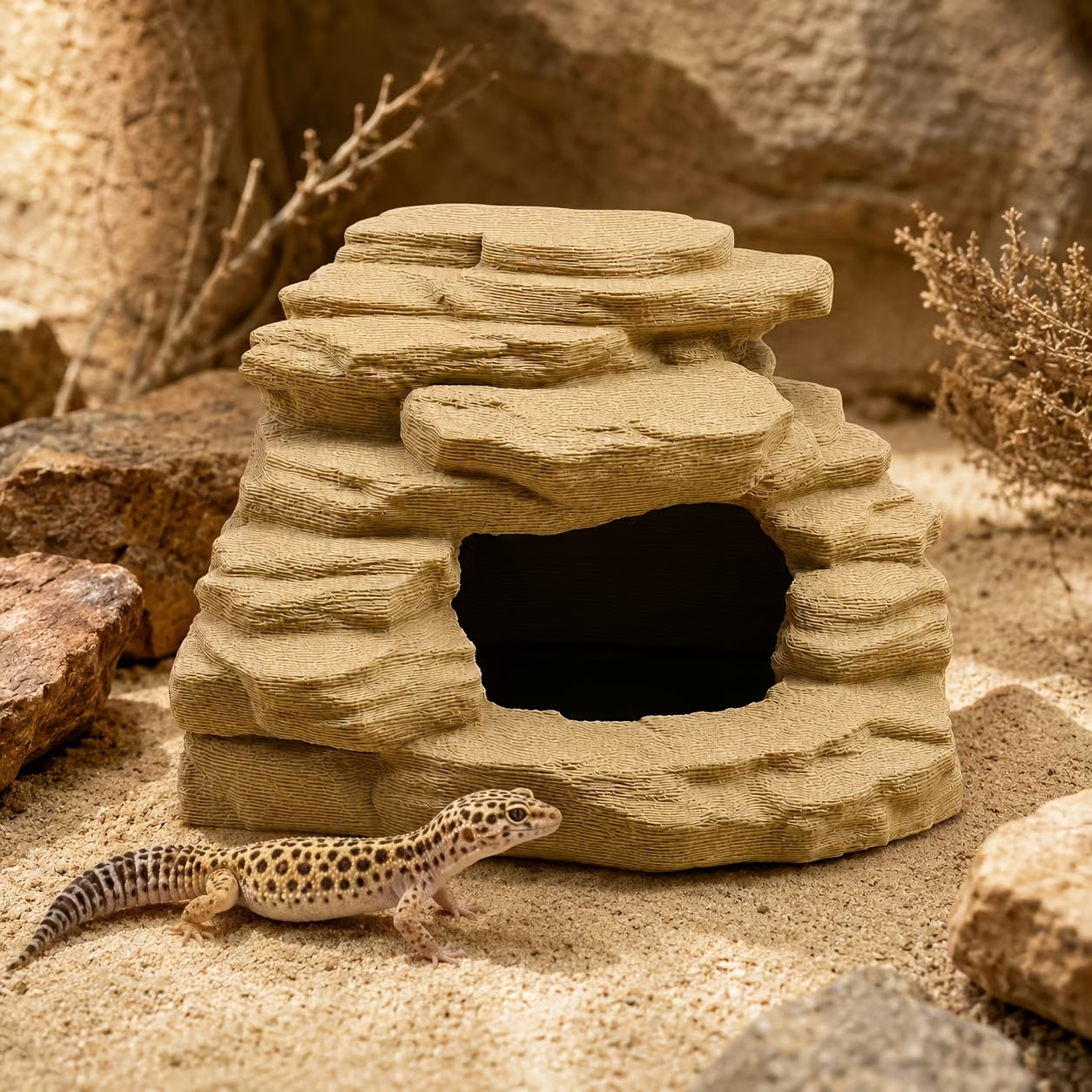 img_5359977