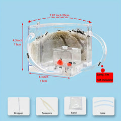 Educational Ant Farm Kit with PVC Habitat