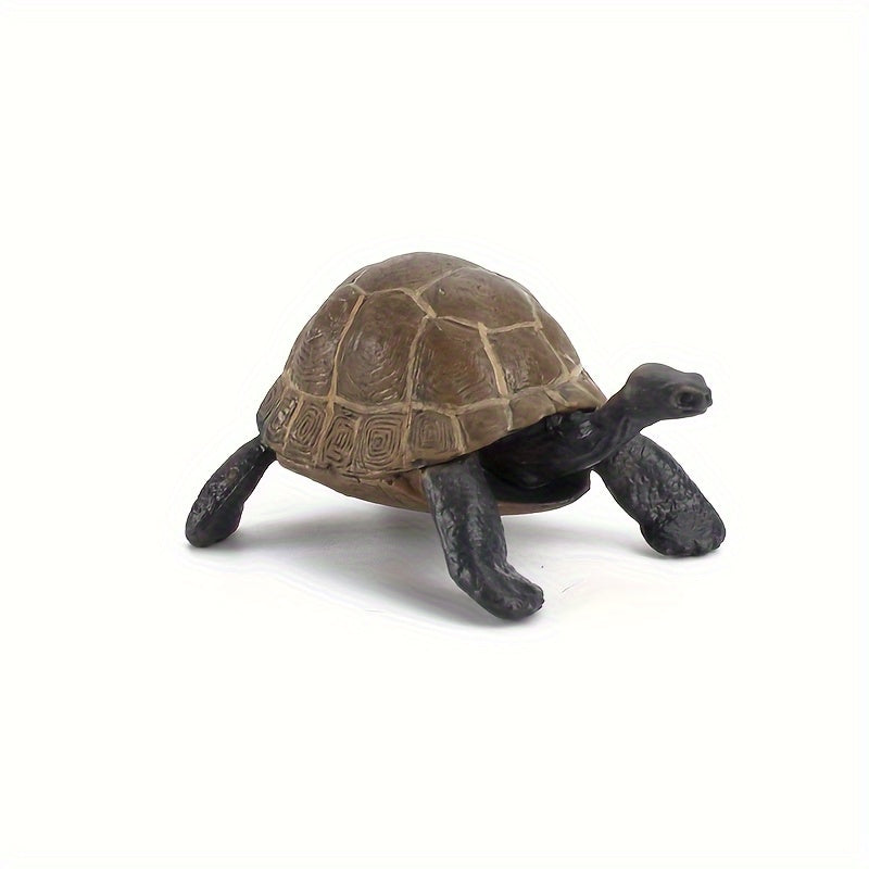 Realistic Turtle Model Toy for Wildlife Learning