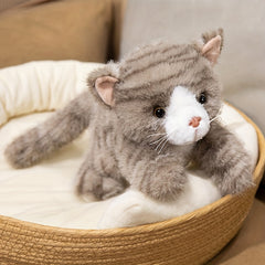 Cute Kitten Plush Toy for Kids 0-3 Years Home Decor Cat Doll