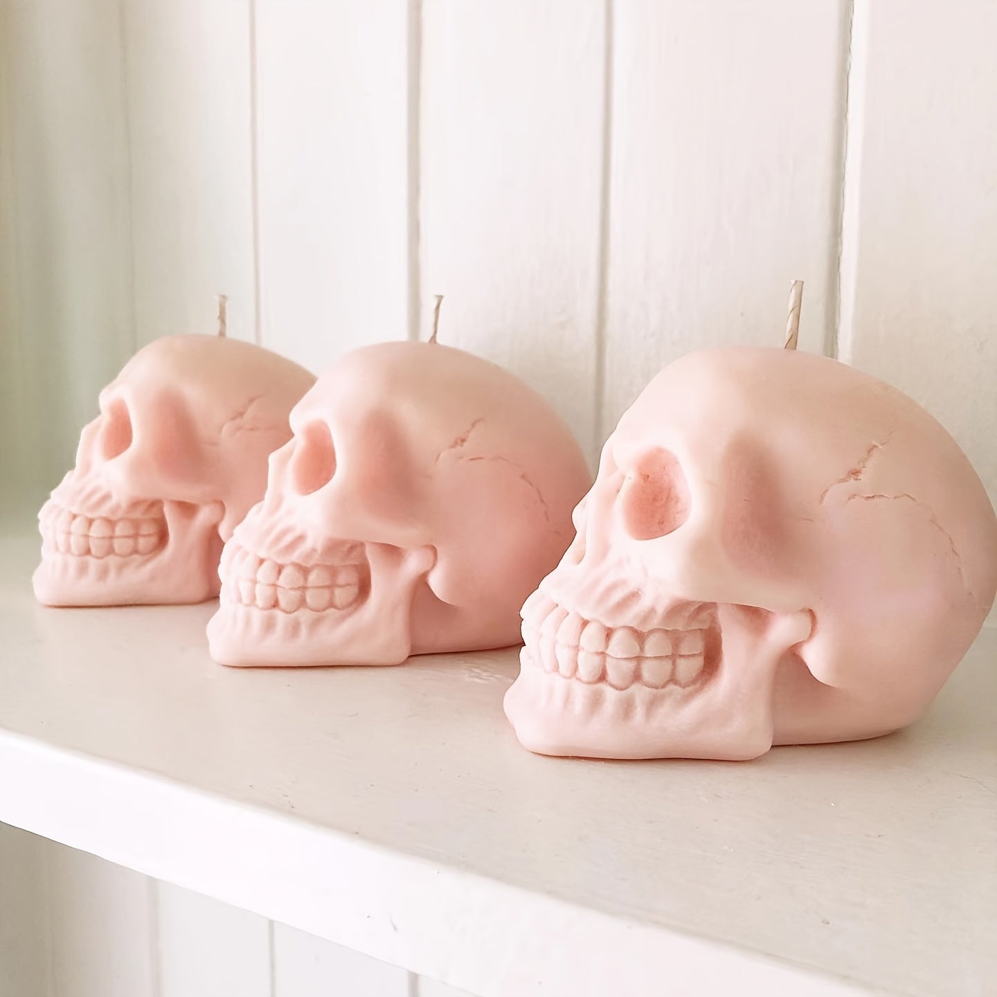 Large 3D Skull Silicone Mold for Resin Casting