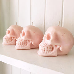 Large 3D Skull Silicone Mold for Resin Casting