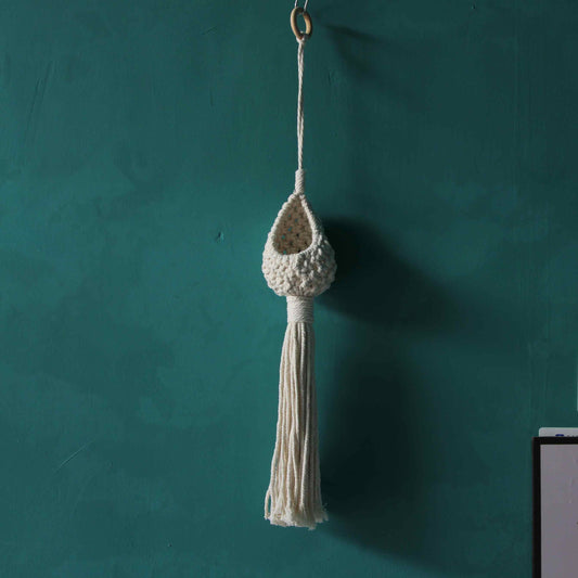 3pcs Macrame Hanging Planters Bohemian Decor with Air Plants & Tillandsia