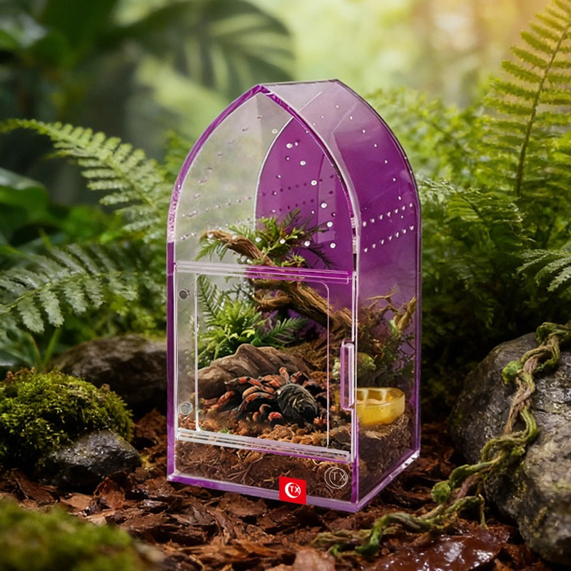 img_7387208