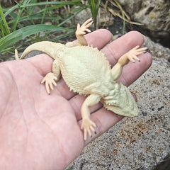 1pc Simulated Pine Lizard Ornament for Desert Scene DIY