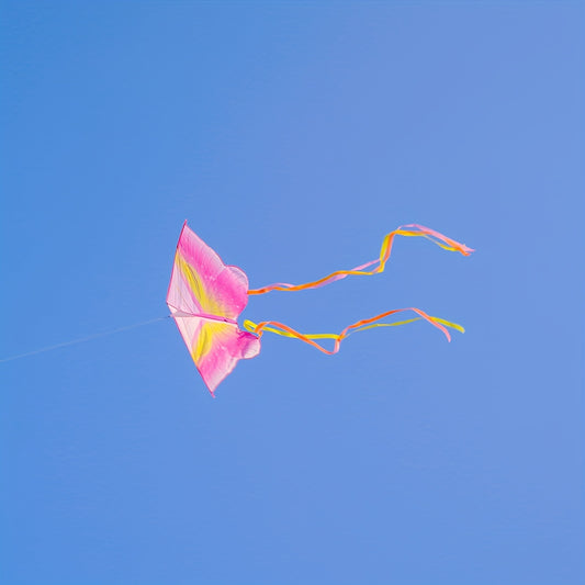 Starlight Butterfly Kite 91m Line Handle Beach Park Yard