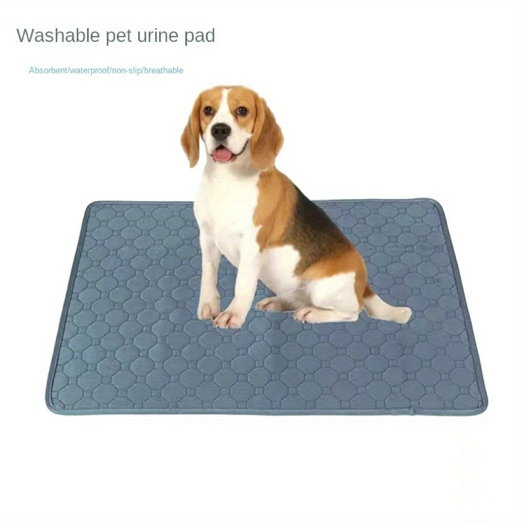 Non Slip Pet Mat Absorbent Washable Dog Pee Pad For Dogs & Cats