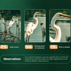 Powerful Monocular with 60mm Lens & Tripod for Bird Watching