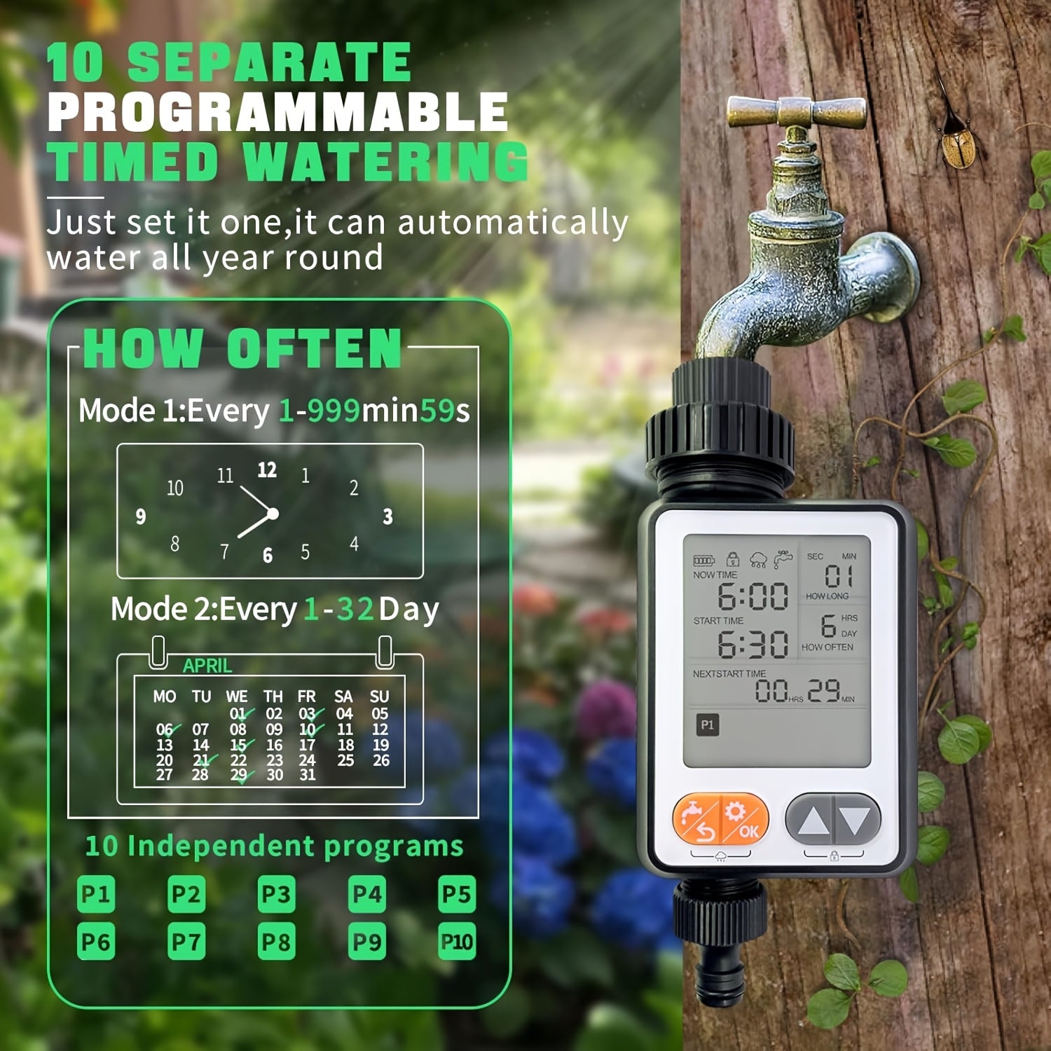 img_10681968