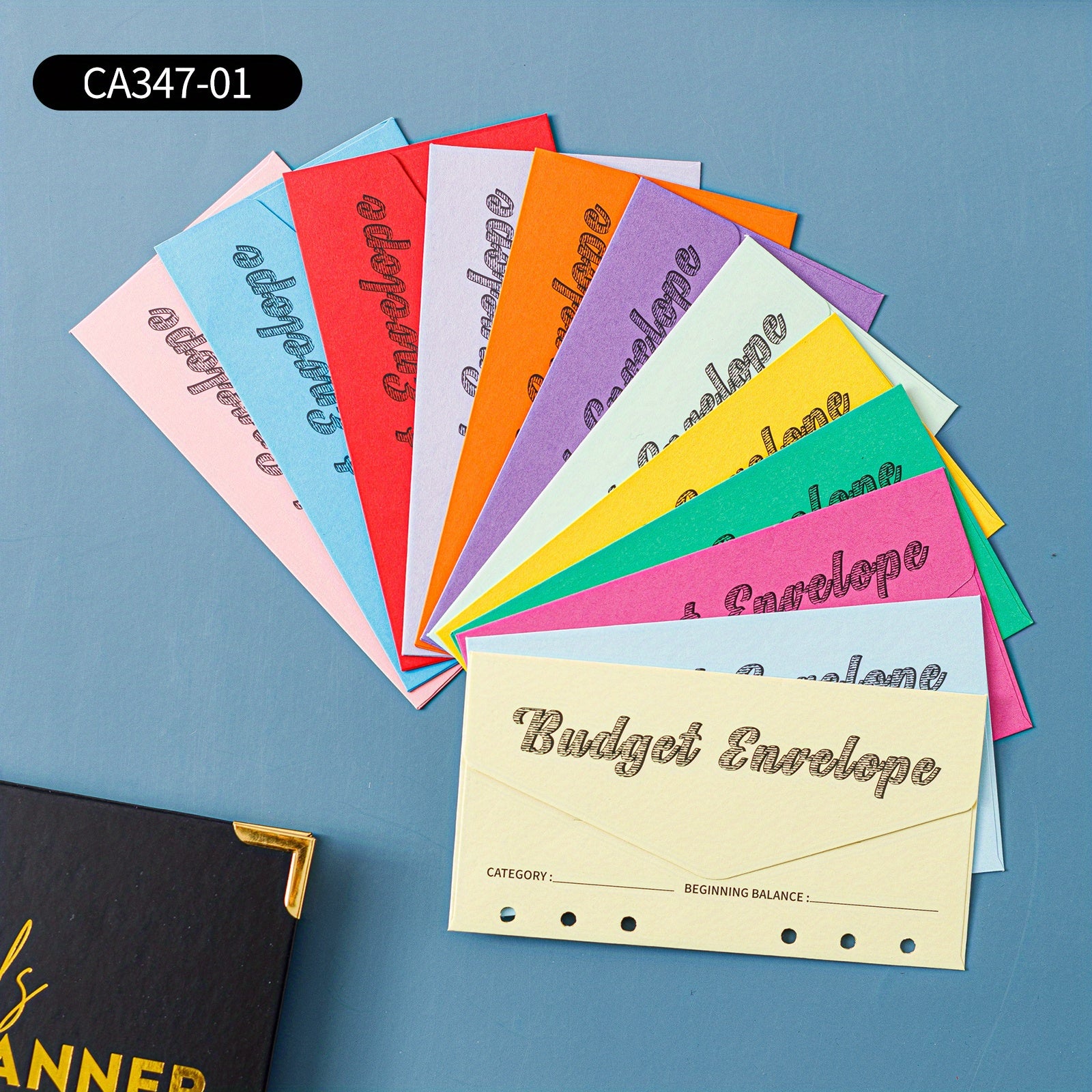 12 Cash Envelope Binder: Budget Organizer
