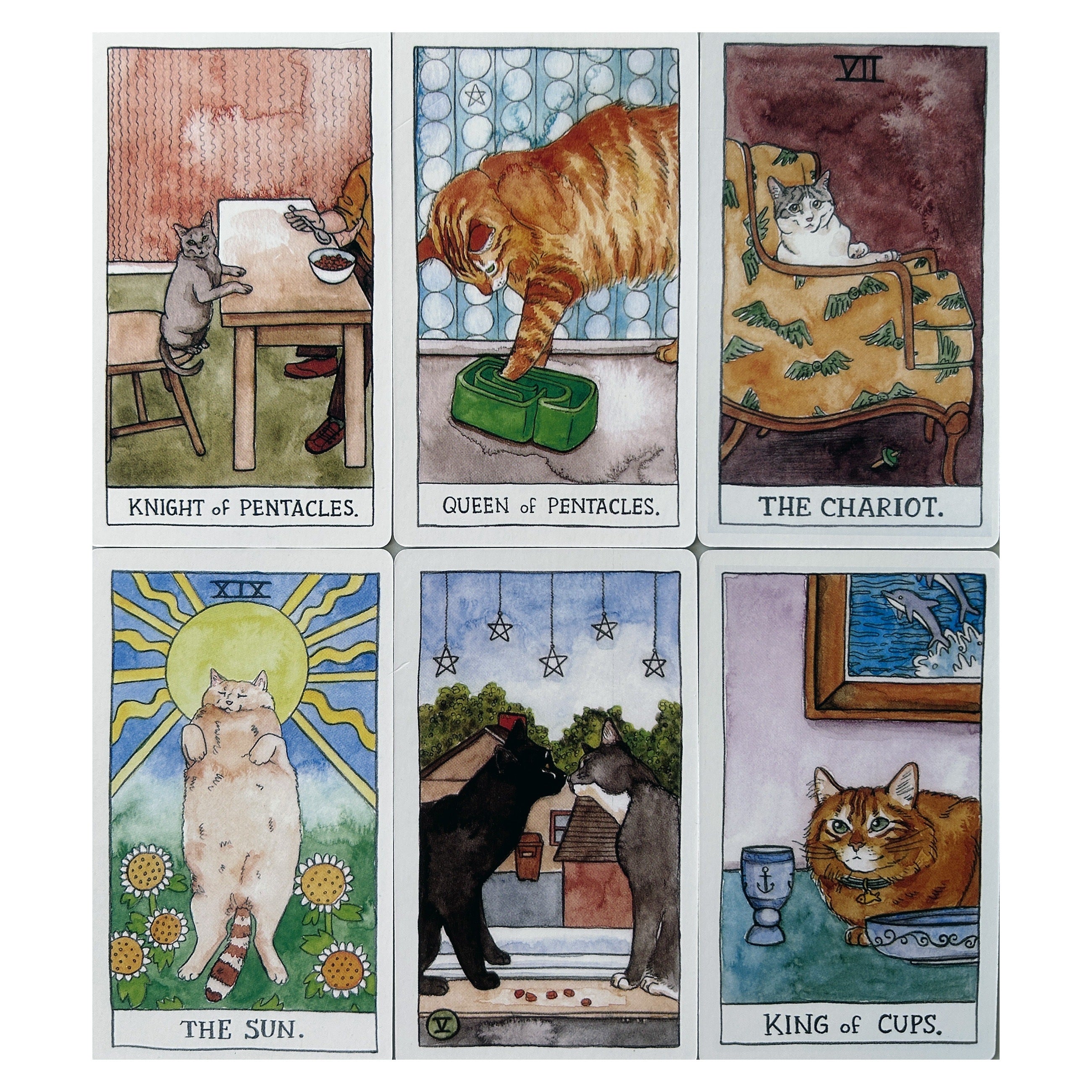 Cartoon Cat Tarot Cards Set for Beginners with Guidebook