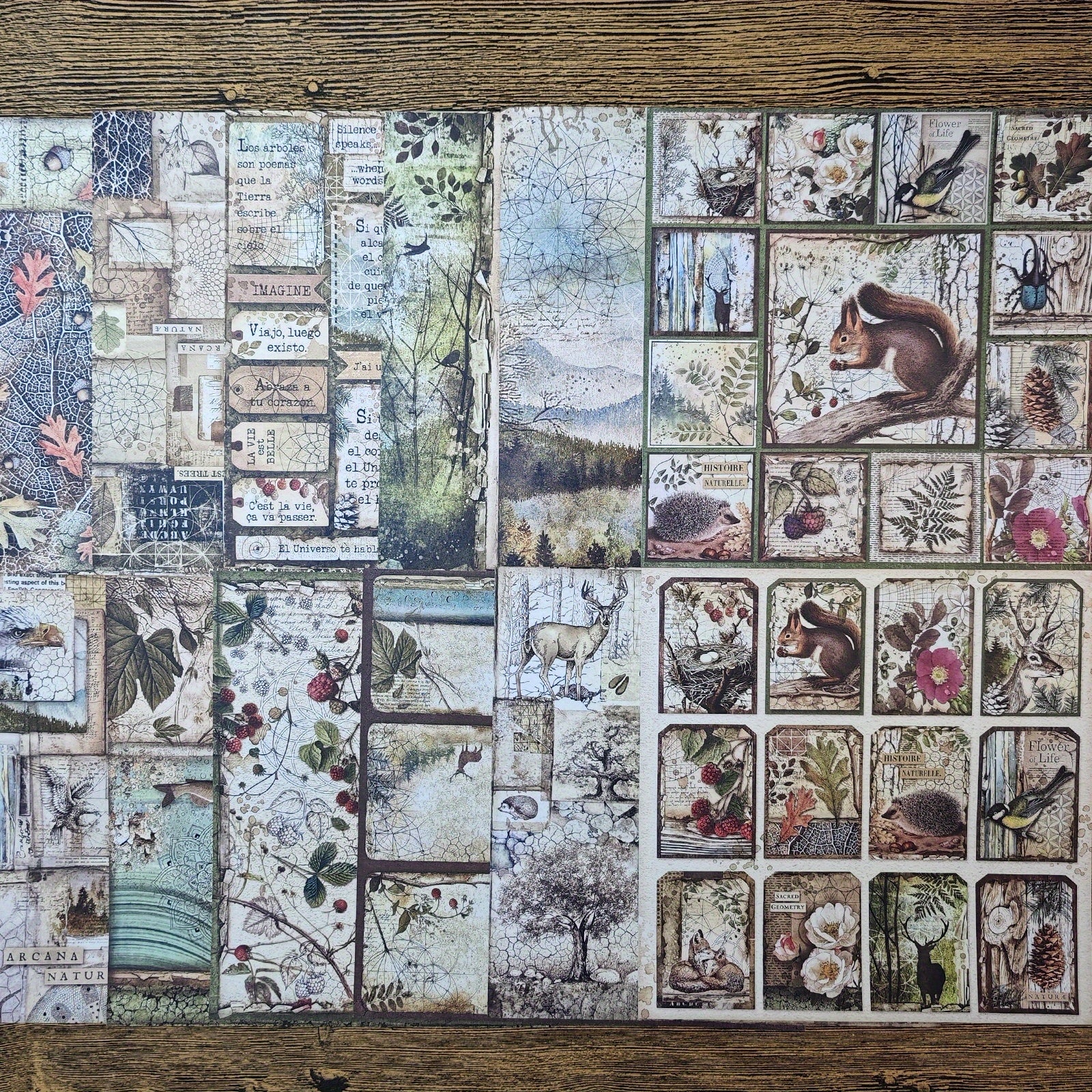 Vintage Forest Animal Paper for Bullet Journal Scrapbook DIY