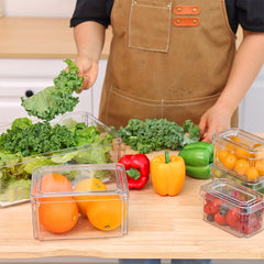 Clear Plastic Refrigerator Storage Box with Lid - Space Saving Organizer
