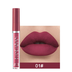 Matte Velvet Lip Gloss Set 5 Colors