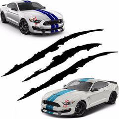 Striped Auto Decal Sticker for a Standout Car Look