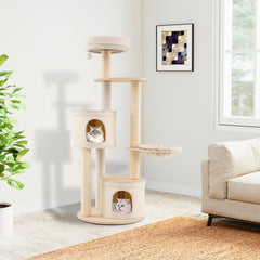 img_7388932