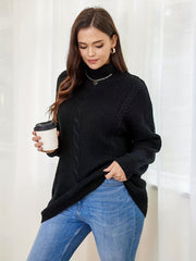  Solid Cable Long Sleeve Turtle Neck Sweater