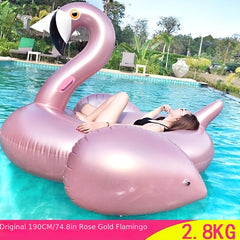 Poolside Inflatable Floating Bed Lounge Chair