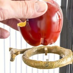 Small Bird Feeder Food Cup Water Bowl for Parrots Budgies Cockatiels