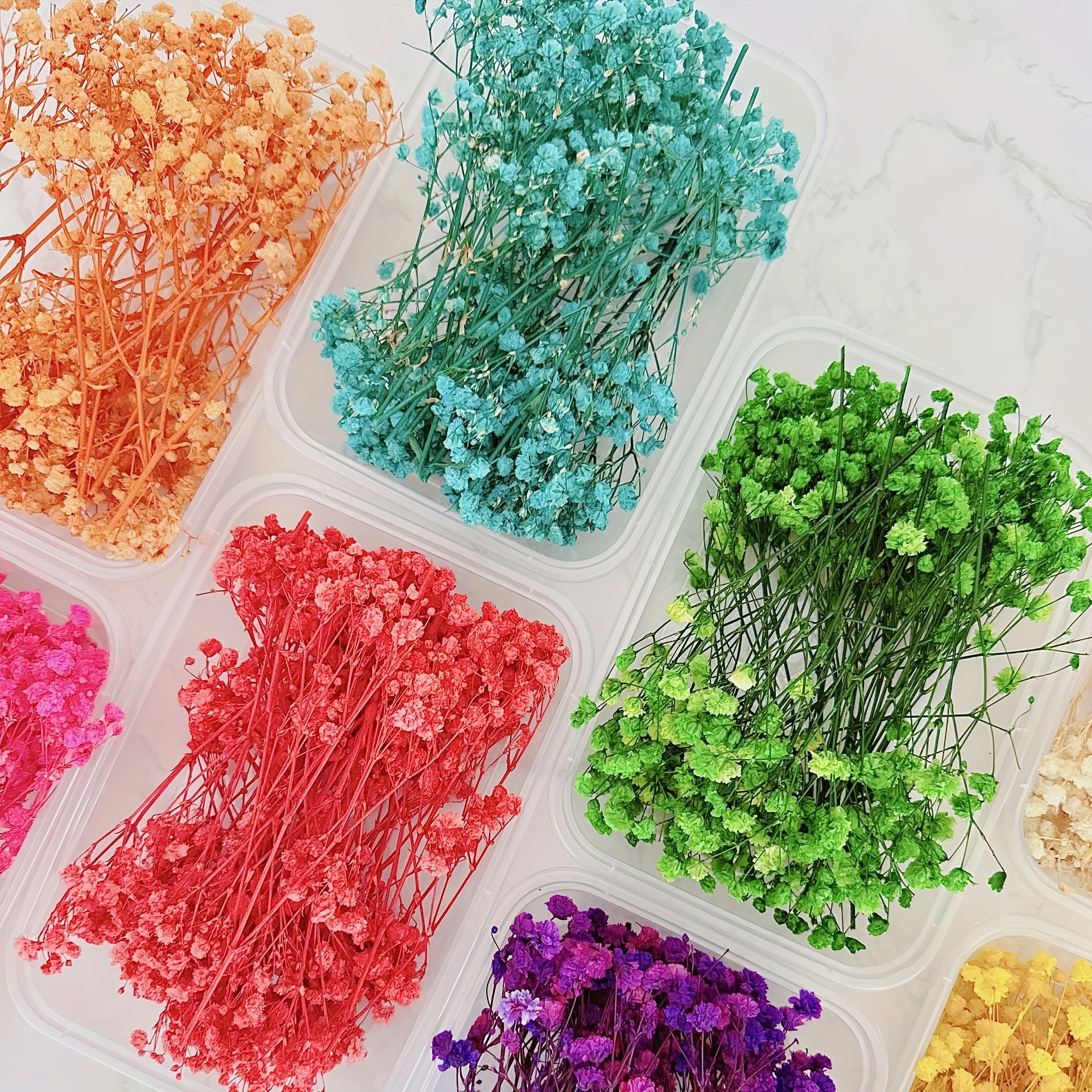 Dried Flower Bouquet Set - Real Naturally Dried Flowers for DIY Crafts