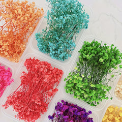 Dried Flower Bouquet Set - Real Naturally Dried Flowers for DIY Crafts