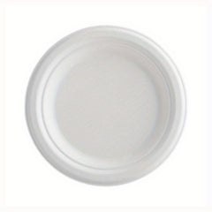 100pcs Sugarcane Bagasse Plates - Eco Friendly Biodegradable Paper Plates