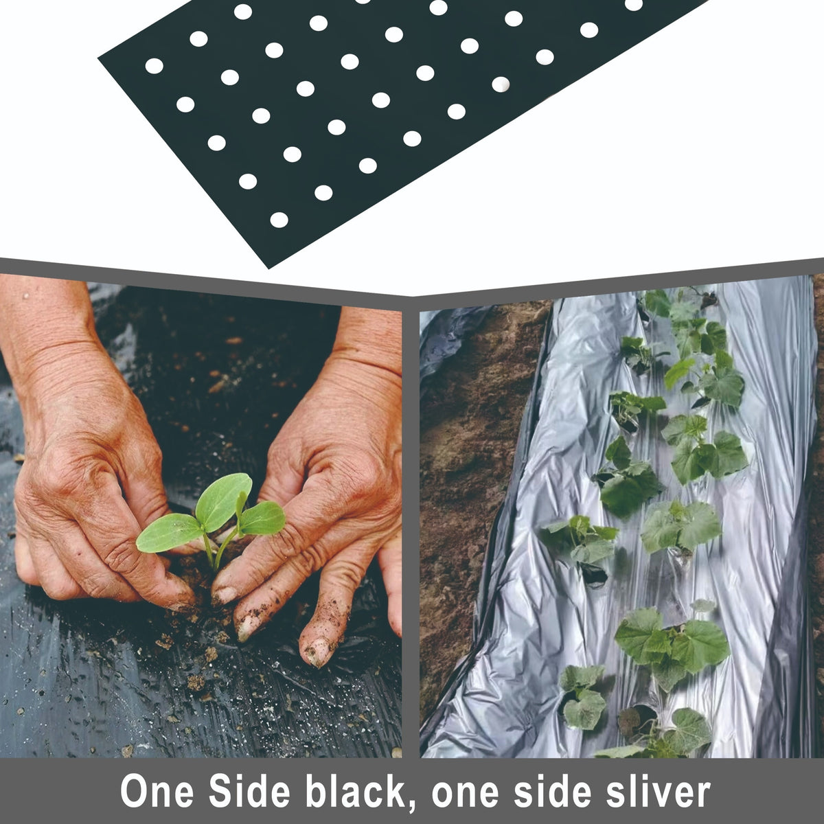 Embossed Plastic Film Garden Weed Barrier 33x3 Feet