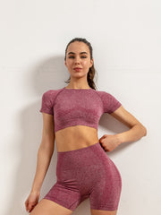 Solid Crew Neck Yoga Crop Top Short Sleeve Slimming Workout Top