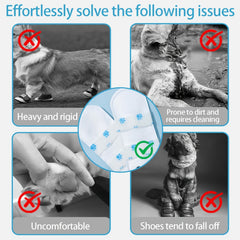 img_4681339