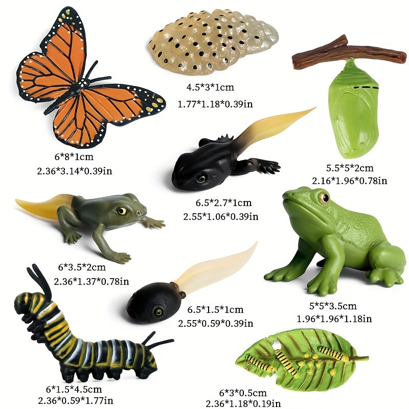 9pcs Life Cycle Figurines Toy Set Butterflies Frogs Educational School Project