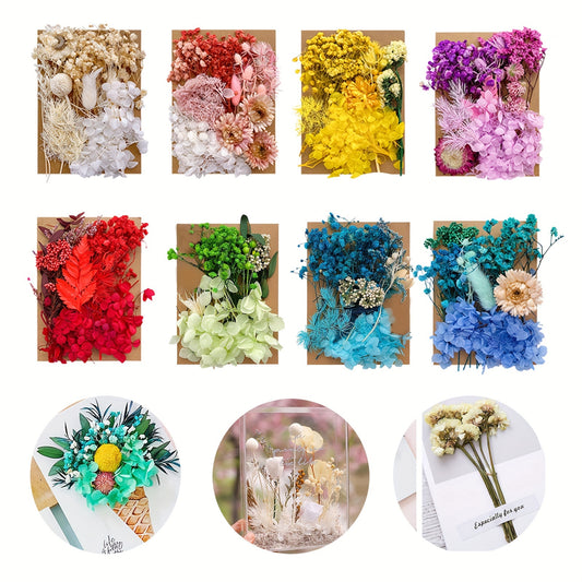 Dried Flowers For Resin, Pressed Flowers, DIY Craft Supplies