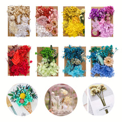 Dried Flowers For Resin, Pressed Flowers, DIY Craft Supplies