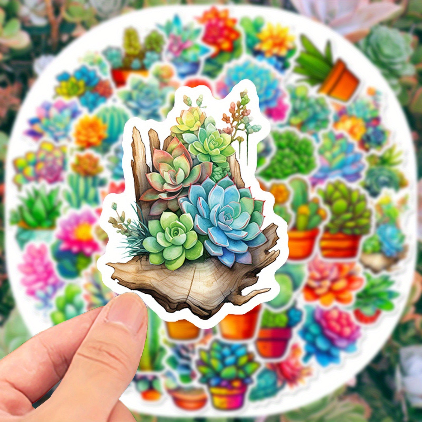 50pcs Succulent Cactus Stickers for Water Bottle Laptop Phone