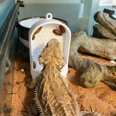 img_5359962