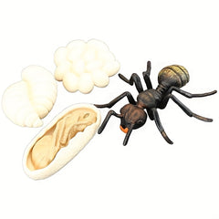 Children's Ant Family Growth Cycle Science Set