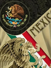 Mexico Eagle And Snake Print Men's Graphic T shirt